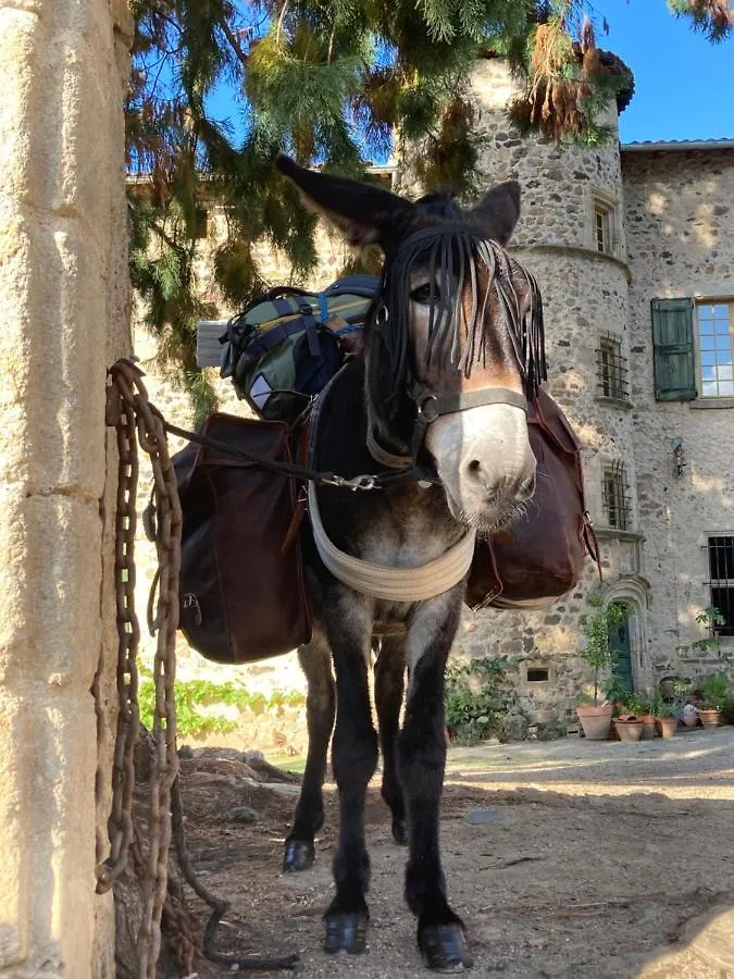 *** Bed and Breakfast Chateau De Durianne Le Monteil  Γαλλία