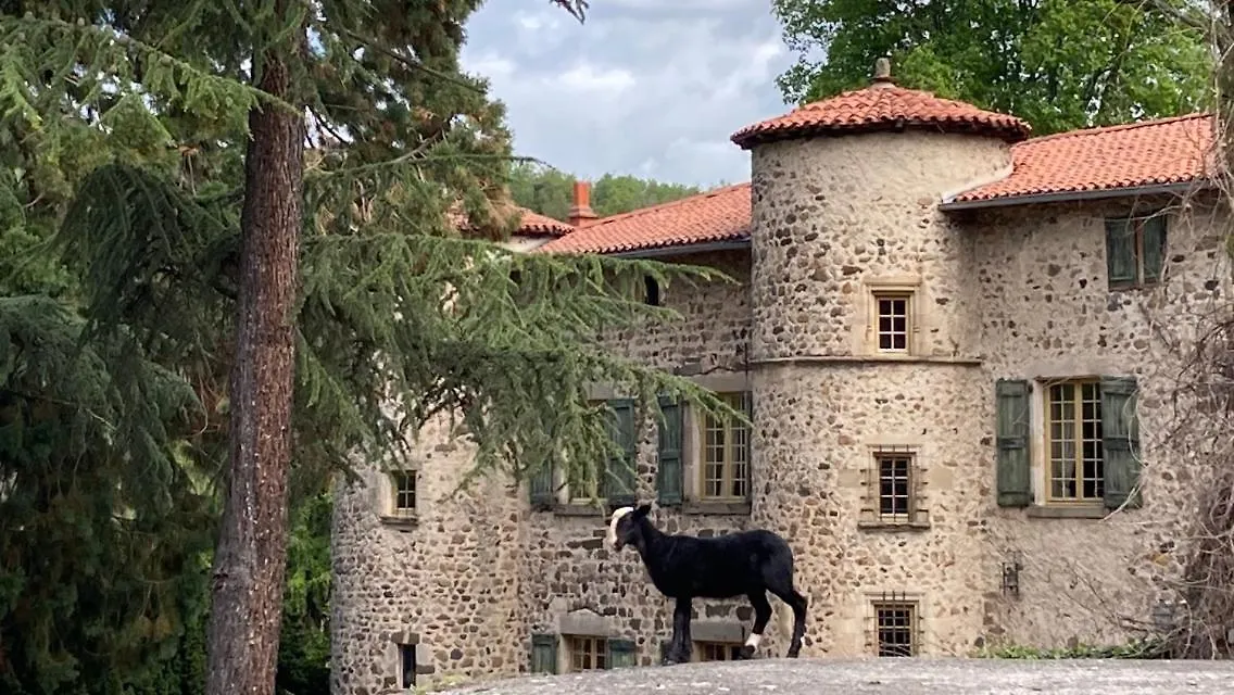 Chateau De Durianne Le Monteil