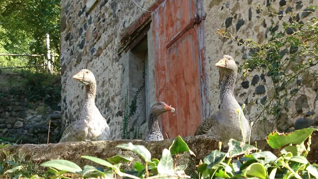 Chateau De Durianne Le Monteil  Bed & Breakfast
